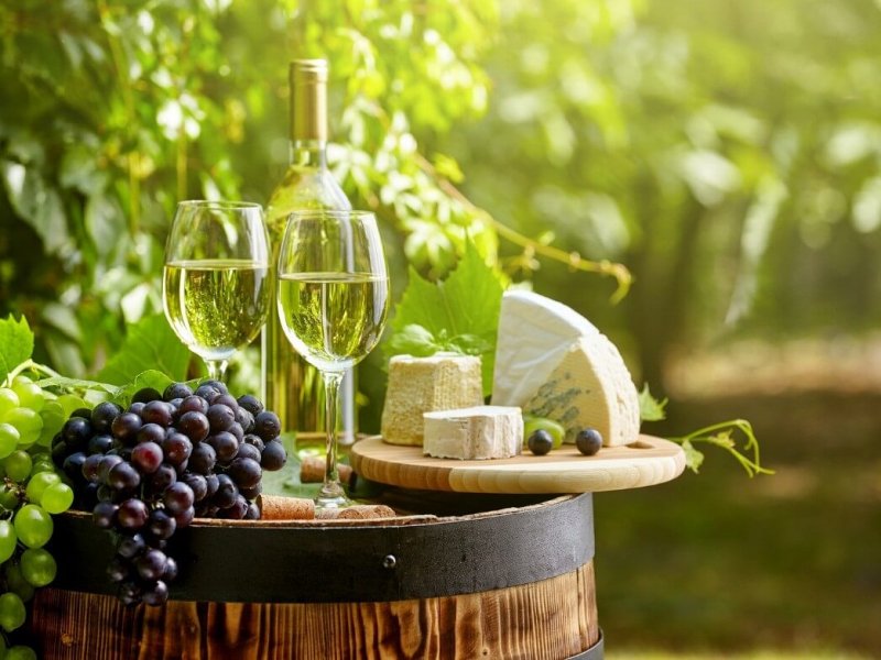 0e2e7862-fa43-4abc-9b8a-499db6cdf93bSavour Every Sip 0e2e7862-fa43-4abc-9b8a-499db6cdf93bSavour Every Sip